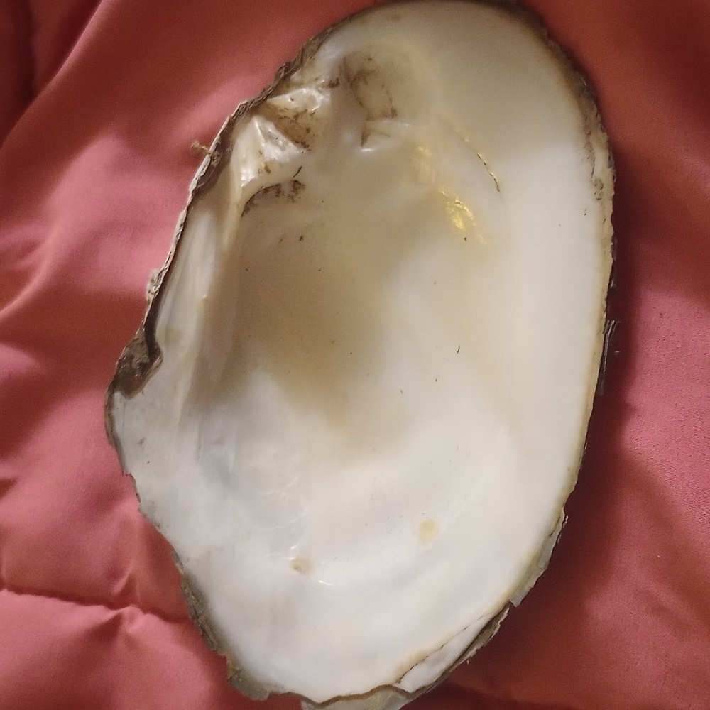 Smudging shell